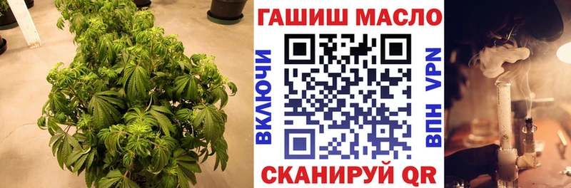 Купить где  Яхрома  Дистиллят ТГК гашишное масло 